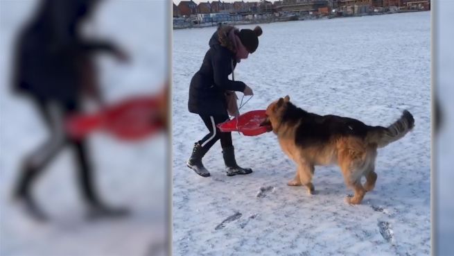 go to Keine Schlittenhunde: Duo will keinen Wintersport