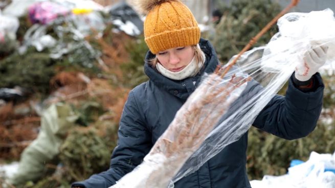 go to Für den guten Zweck: Russen recyceln Tannenbäume